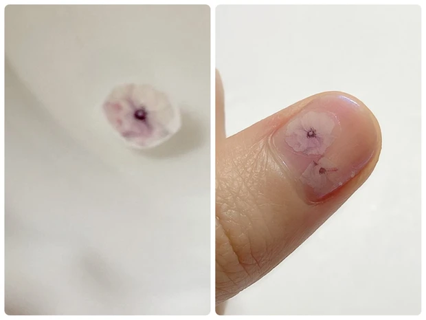 指先から春⭐︎100均で作る【桜ネイル】は初心者でも簡単・高見え・時短の三拍子!_4