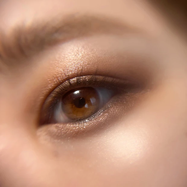 【価格設定バグりすぎ!】LAURA MERCIER(ローラメルシエ)のパレットが5,500円で買える?!「ジャパンインブルーム アイシャドウパレット」_7_1