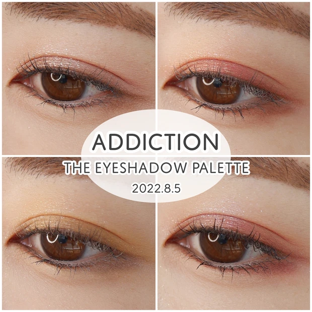 ADDICTION アディクション ザ アイシャドウ パレット 010 ブラウン