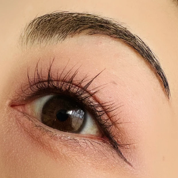 メタルックマスカラの02 ブラウンを使用したアイメイク