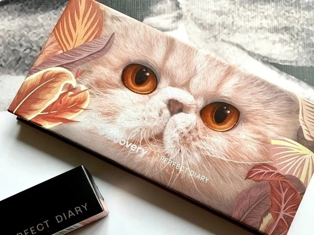 【中国コスメ】PERFECT DIARY（パーフェクトダイアリー）エクスプローラ12色アイシャドウパレット09 ネコ