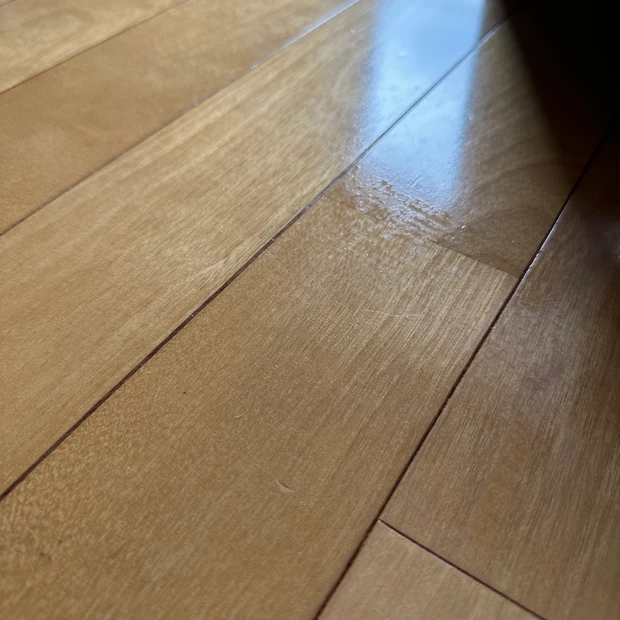 皮膚炎&アレルギーはコスメだけではなく水拭き可能なロボット掃除機で対策中_5_1