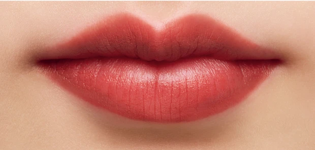 KANEBO ルージュスターブリーズ B109 スウォッチ