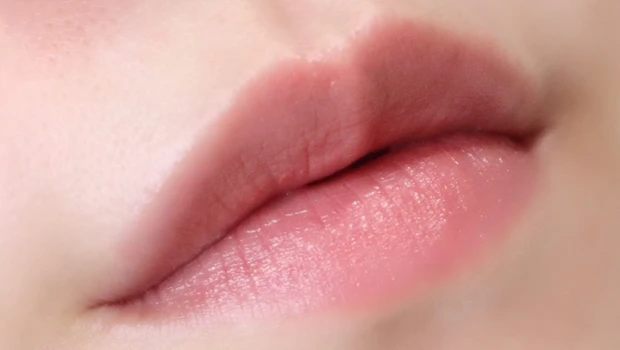 ヴィセ ネンマクフェイクルージュ PK850 うさぎの恋人 着画