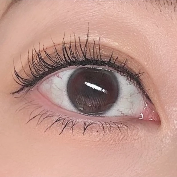 【プチプラコスメ】ブラウンシャドウの新定番！ケイトの溶け込むようなカラーが美しいメロウブラウンアイズ_4_1