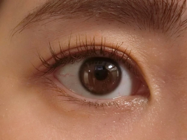 【MAQUIA×スリーピース】骨格診断をメイクに活かす！オフラインイベントに参加しました♪【骨格別メイク/ストレート】_8_1