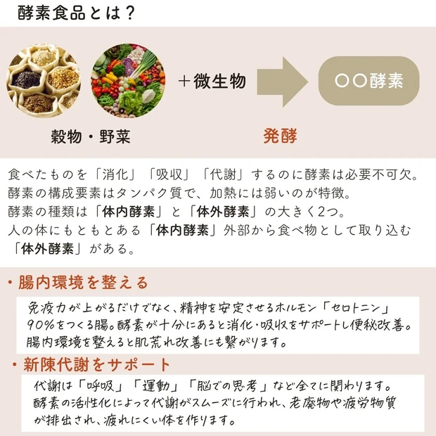 酵素_酵素ドリンク_真山綾美