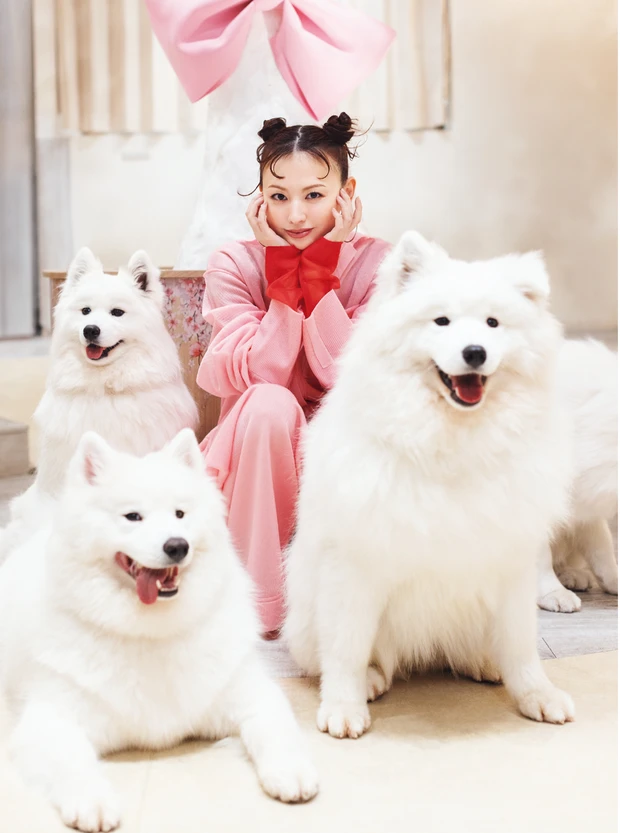 鈴木えみ、念願のサモエドカフェへ行く。ペースを合わせて心が通う、動物との向き合い方