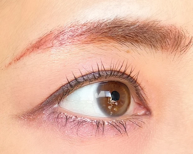 hince　ヒンス　ニューデップスアイシャドウ　インフロウ　お花見パレット