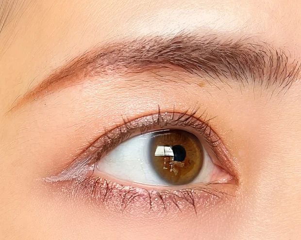 CANMAKE キャンメイク プティパレットアイズ プリュムフラワー