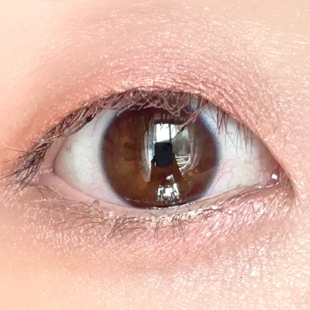 【スック新作】単色アイシャドウ「モノルックアイズ」イエベが購入した５色をレビュー｜おすすめの組み合わせは？_28_1