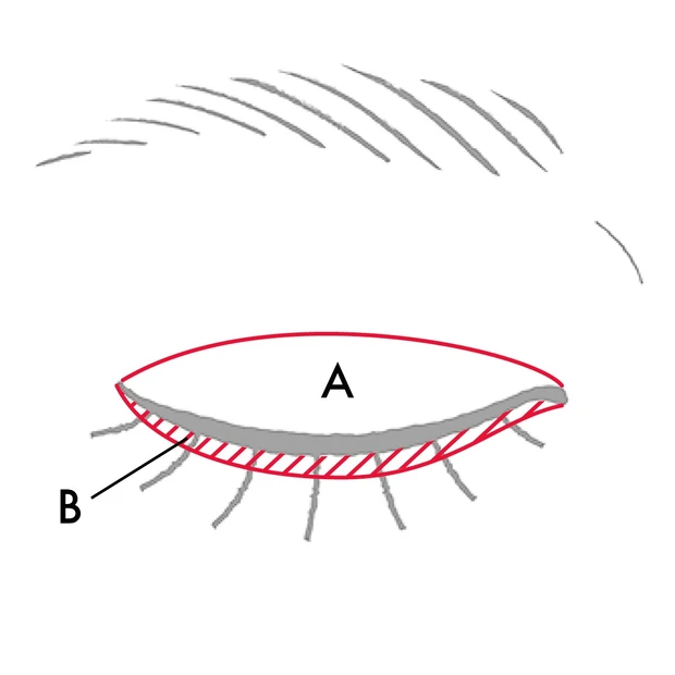 【奥二重アイメイク】ベスコス受賞スナイデル ビューティのアイデザイナーはこう使う！_3_2