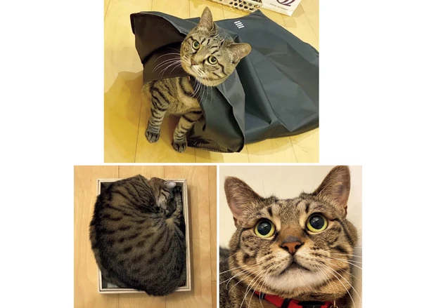 中野明海さん直伝！多幸感メイクの秘密 PhotoGallery_1_57