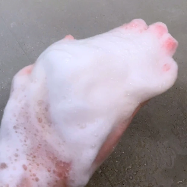 ケラテックス ファイバー シャンプー