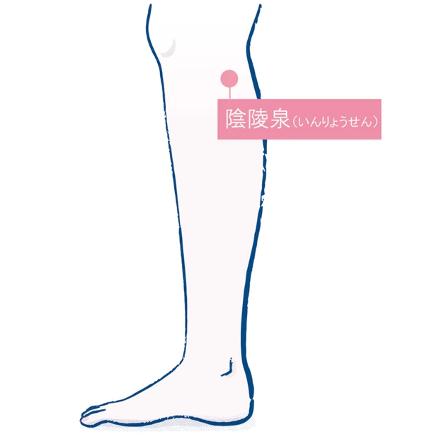 目指せ、日々快調！湿気とのつき合い方 PhotoGallery_1_14