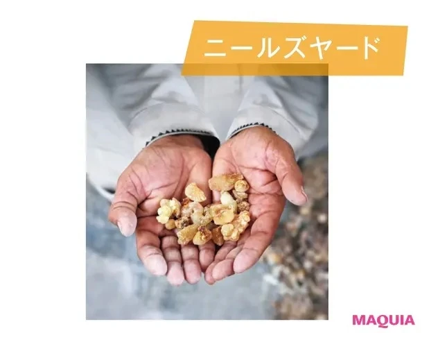 【クリーンビューティ】SDGs13「気候変動に具体的な対策を」_5