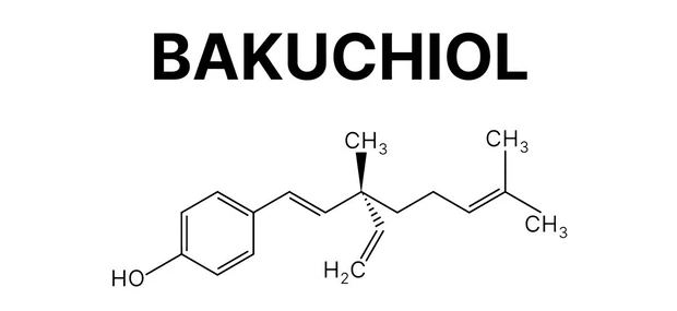 マキア 5月号付録 ユーセリン ハリフィラー バクチライズセラム 化学式