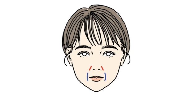 ほうれい線のイラスト