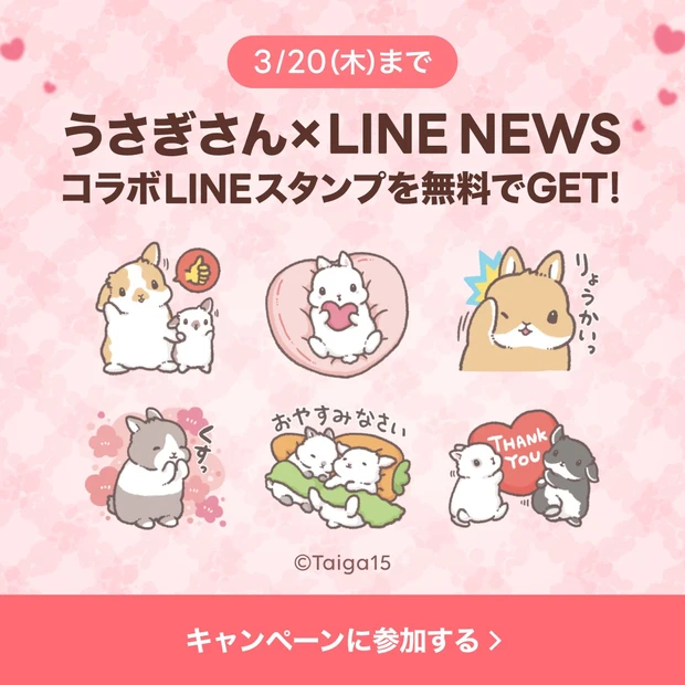 最新美容情報をLINEにお届け！ 「うさぎさん×選べるニュース」LINEスタンププレゼントキャンペーン実施中