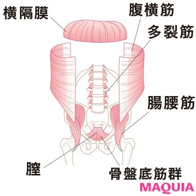 ウエストのくびれの作り方 短期間で効果大 筋トレ 簡単エクササイズまとめ マキアオンライン Maquia Online