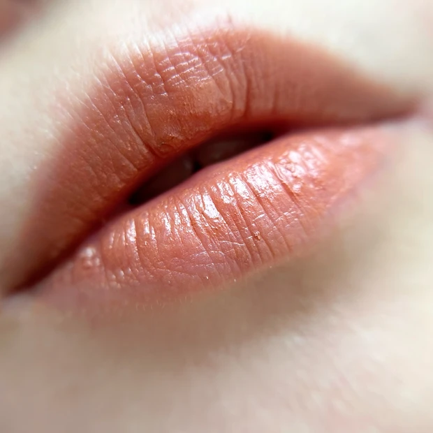 Celvoke ディグニファイド リップス Sunset Sienna