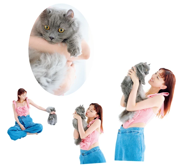 猫の「ムゥちゃん」