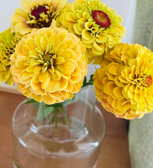 声優伊藤美来お花