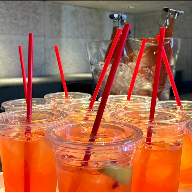 【ロレアルパリ】から前代未聞!?シャンプーの前の導入剤が誕生♡ボンドリペアシリーズで”あの頃の髪に戻りたい”プチプラでヘアケア頑張りたい方は要チェックです!_6