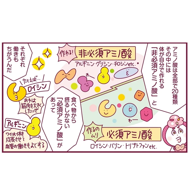 いまこそ積極的に摂るべき! 「たんぱく質」の基本をわかりやすく解説