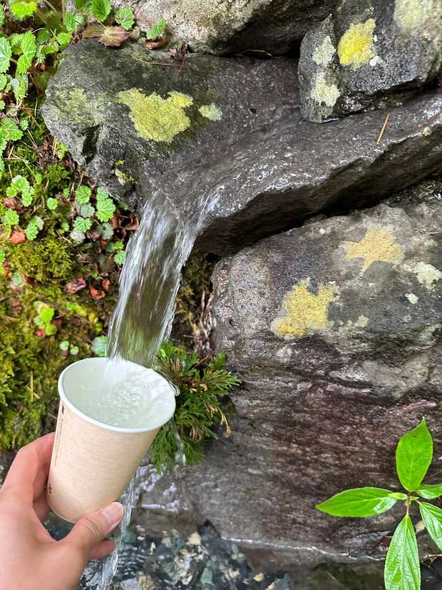 絵本の中にいるような美しい庭園「ラ・カスタ ナチュラル ヒーリング ガーデン」ブランド愛が高まる！！_6_2