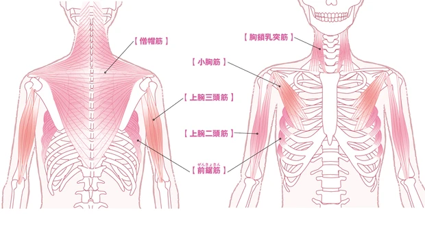 神崎 恵さんの美首&美肩メソッド PhotoGallery_1_2