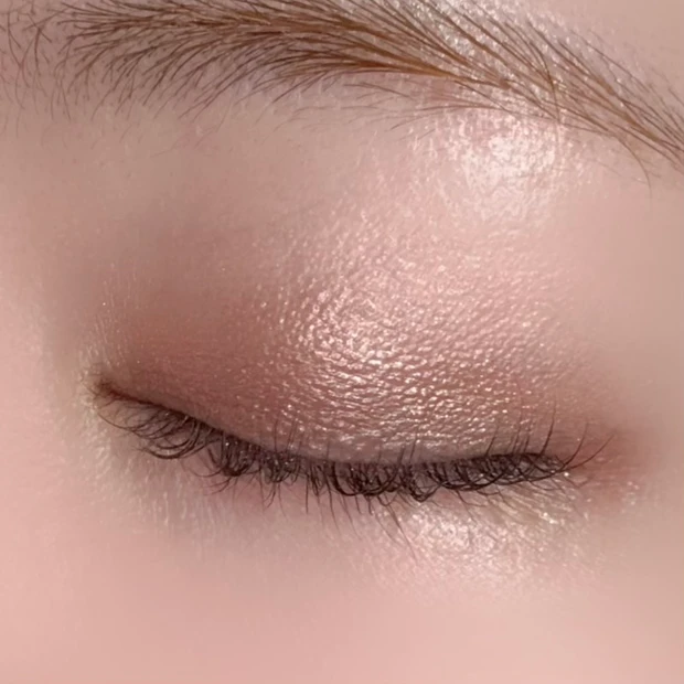 エレガンス プレジールアイズ 10 ディープブラウン 単色アイシャドウ ブルベ