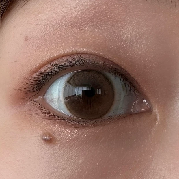 【顔タイプ別メイク】MAQUIA9月号掲載！どうぶつ顔タイプ別、私が盛れる正解メイクを実際に試してみた！_7_2