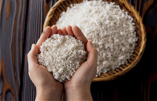 食べて良し、塗って良しの「発酵」の世界を深掘り。肌や体へのメリットを専門家が解説