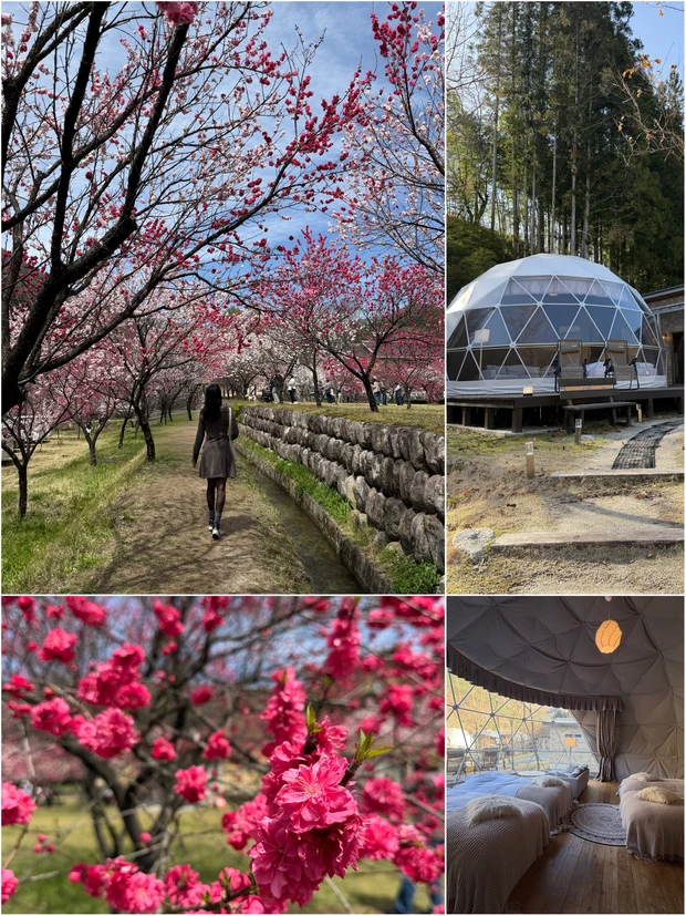 【自己紹介】マキアビューティーズの彩希です！ライター経験8年目。愛用コスメ＆スキンケアについて発信します_5