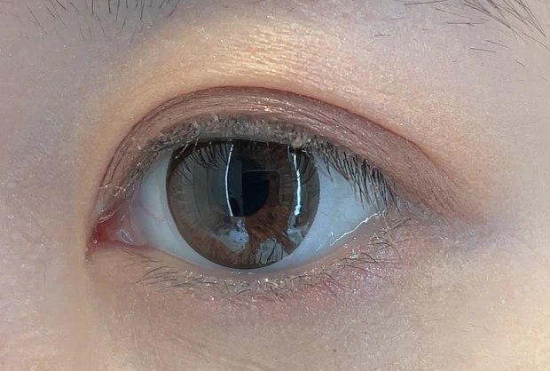 オンブルクルールクアドリ8の③