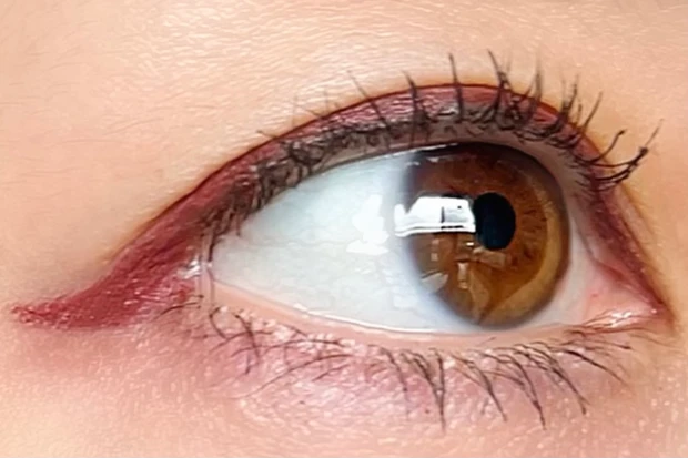 CANMAKE(キャンメイク)クリーミータッチライナー06フォギープラム