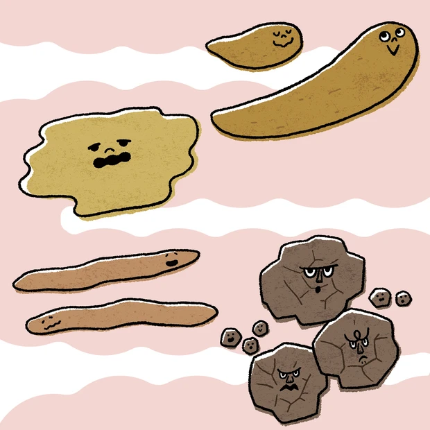 【うんちの状態で腸活チェック】ひょろひょろ・ベトベト・コロコロは要注意！…