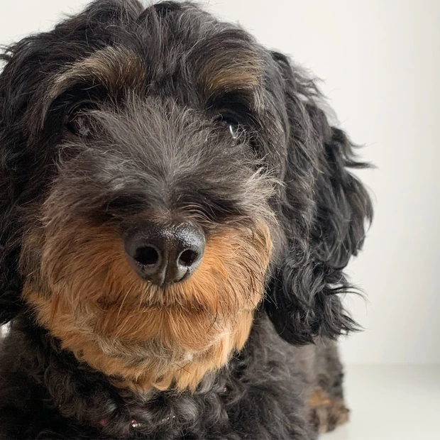 【自己紹介/ご挨拶】MAQUIA公式ブロガー3年目 Romi_2_1