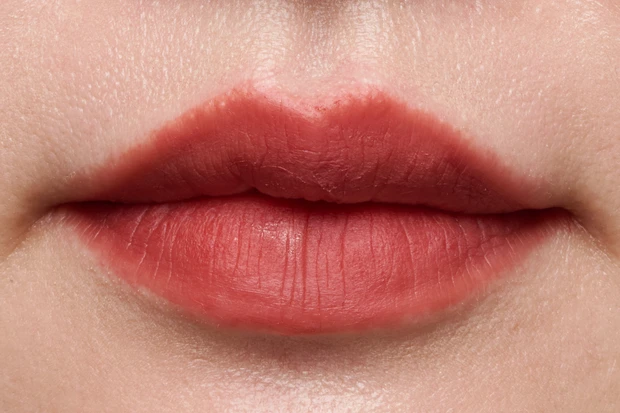 プチプラリップ　イエベ秋　フジコ なりすましティント 01 スウォッチ