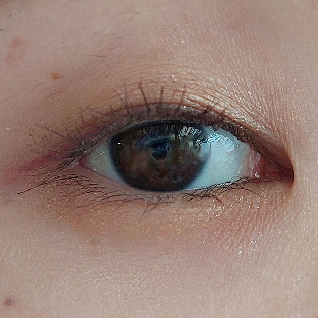 ADDICTIONの「アイ&チーク コンパクトアディクション“ストーリー オブ ライフ”」を紹介|スウォッチからメイクレシピまで解説します!【クリスマスコフレ2022】_6_1