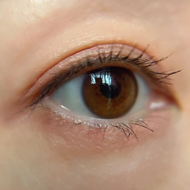 フジコ オートマチックアイシャドウ02 スウォッチ