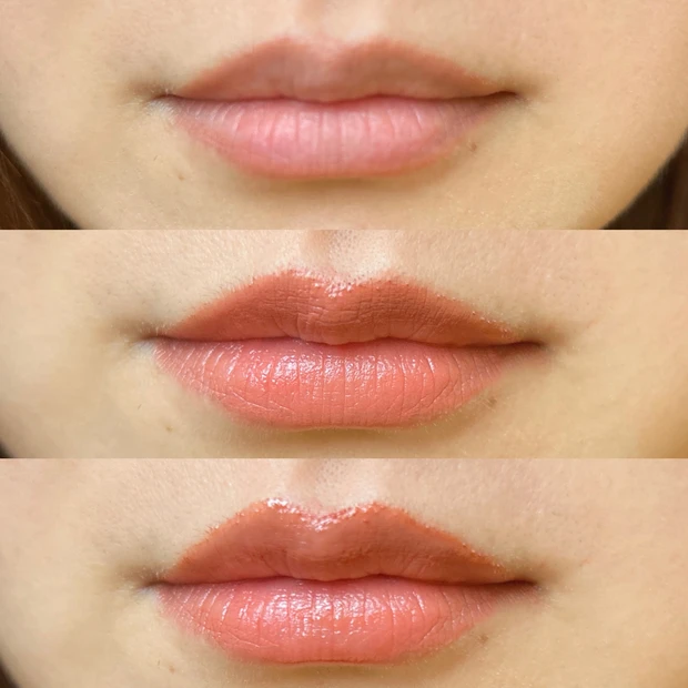 輪郭をとり、マットリップを塗った後、ジェルリップを重ねた状態