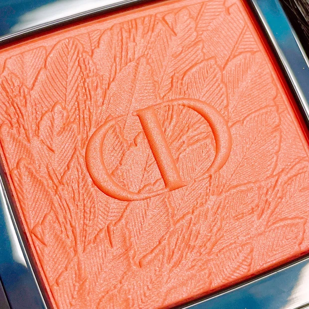 【Dior秋コスメ】美しすぎる羽のデザイン♡アイシャドウのカラーも徹底チェック【イエベ?ブルベ?】