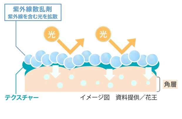 イメージ図 資料提供/花王