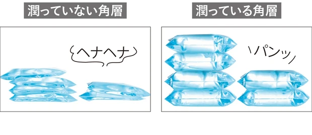 【実験5】角層が潤っているとハリが出る