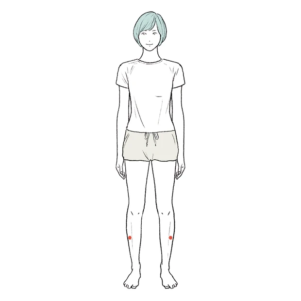 膝と足首の中間で、すねの少し外側にある豊隆(ほうりゅう)というツボ