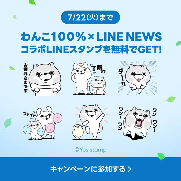 最新美容情報をLINEにお届け！ 「わんこ１００％×選べるニュース」LINEスタンププレゼントキャンペーン実施中
