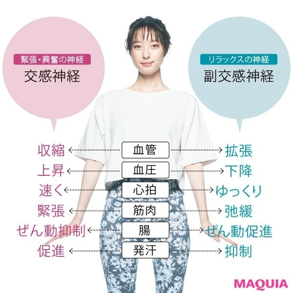 【不安・ストレスを減らすには?】交感神経と副交感神経_2