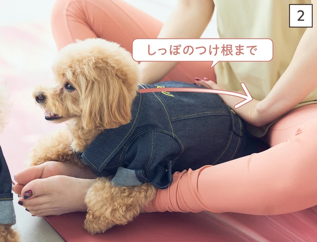 ドッグマッサージ　体温と呼吸を感じる背中さすり①